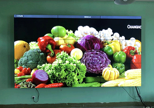 西寧職業(yè)技術(shù)學院